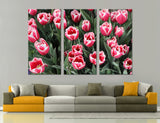 Tulip Field Canvas Print #7551