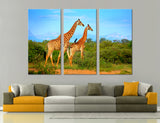 Giraffes Canvas Print #8032