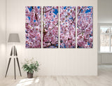 Sakura Branches Canvas Print #7550