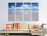 Salt Lake Canvas Print #7246