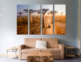 Baobab Canvas Print #7560