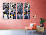 Flock of Penguins Canvas Print #8016