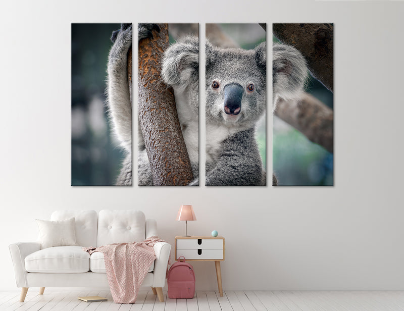 Koala Canvas Print #8187