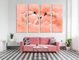 Pink Flamingos Canvas Print #8024