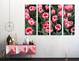 Tulip Field Canvas Print #7551
