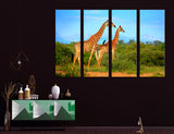 Giraffes Canvas Print #8032