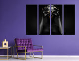 Mysterious Wall Art Canvas Print #2504