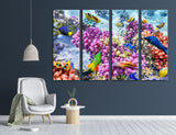 Coral Reef Canvas Print #7131