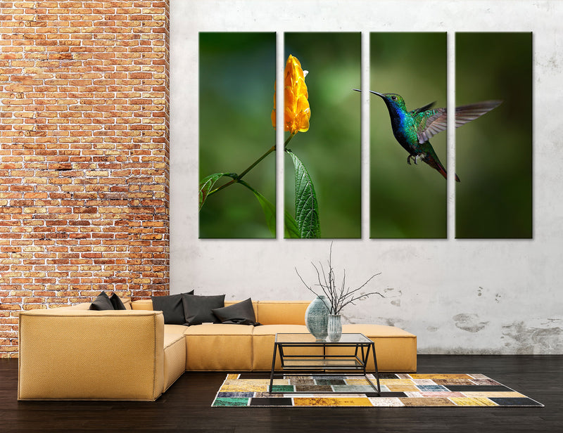 Hummingbird Canvas Print #8017