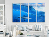 Sharks Canvas Print #8175