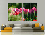 Pink Tulips Canvas Print #7517