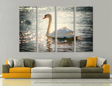 Swan Canvas Print #8159