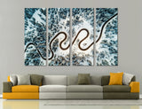 Forest Road Canvas Print #7017