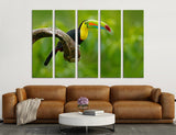 Toucan Bird Canvas Print #8022