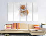 Tiger in Snow Canvas Print #8012