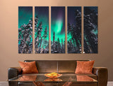 Polar Lights Canvas Print #7090