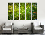 Treetops Canvas Print #7127