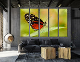 Black Red Butterfly Canvas Print #8059