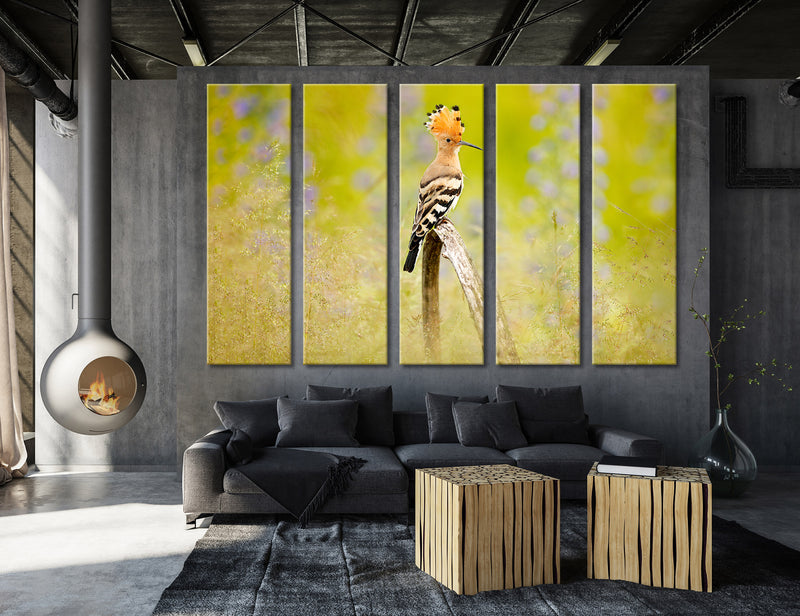 Hoopoe Canvas Print #8031