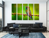 Humming-bird Canvas Print #8056