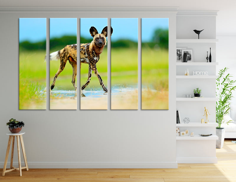 African Wild Dog Canvas Print #8026