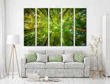 Treetops Canvas Print #7127