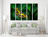 Yellow Butterfly Canvas Print #8019