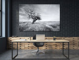 Tree in Field Canvas Print #7082