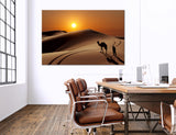 Camel in the Desert Canvas Print #7098