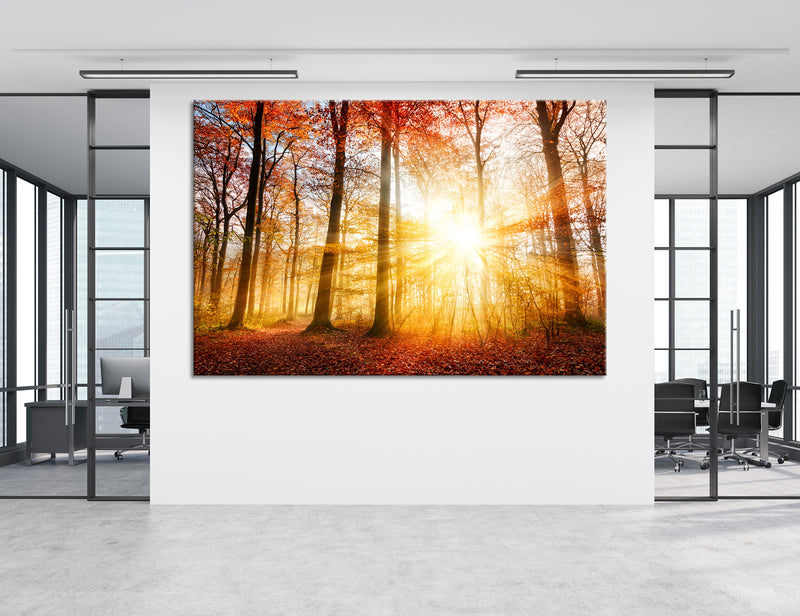 Autumn Forest Canvas Print #7121