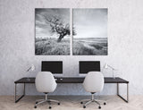 Tree in Field Canvas Print #7082