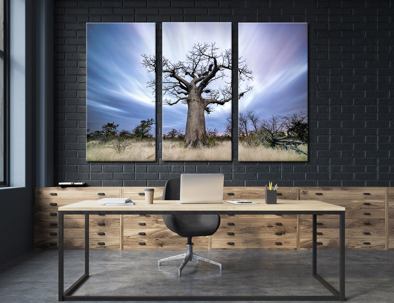 Baobab Canvas Print #7247