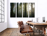 Dense Forest Canvas Print #7111