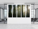 Dense Forest Canvas Print #7111