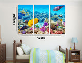 Coral Reef Fish Canvas Print #7130