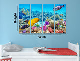 Coral Reef Fish Canvas Print #7130